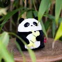 MSC0002_5.webp