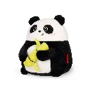 MSC0002_2.webp