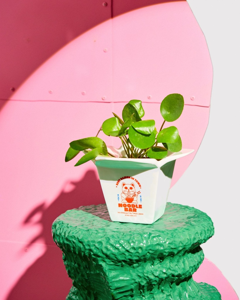[7507-AAPRAMEN] VASE POT RAMEN