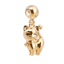 Charm Chat