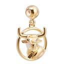 Charm Taureau