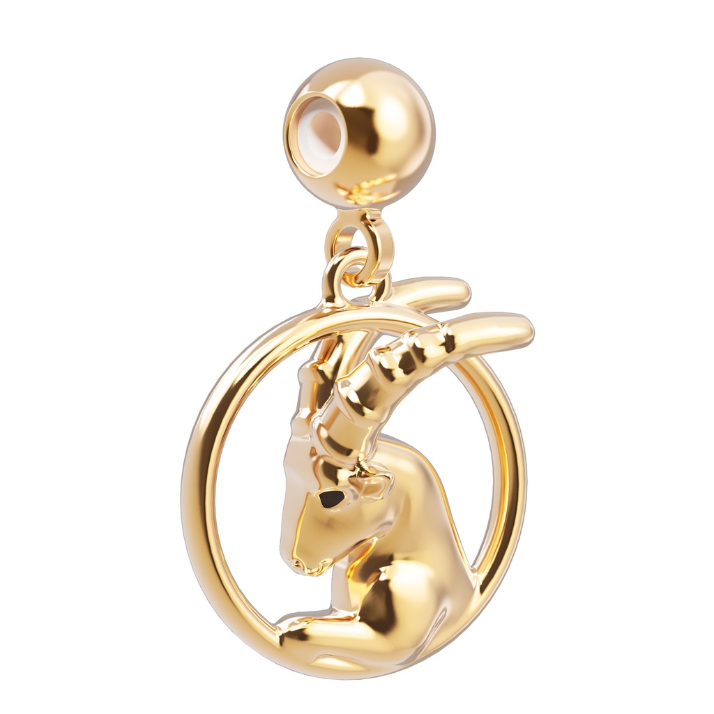 Charm Capricorne