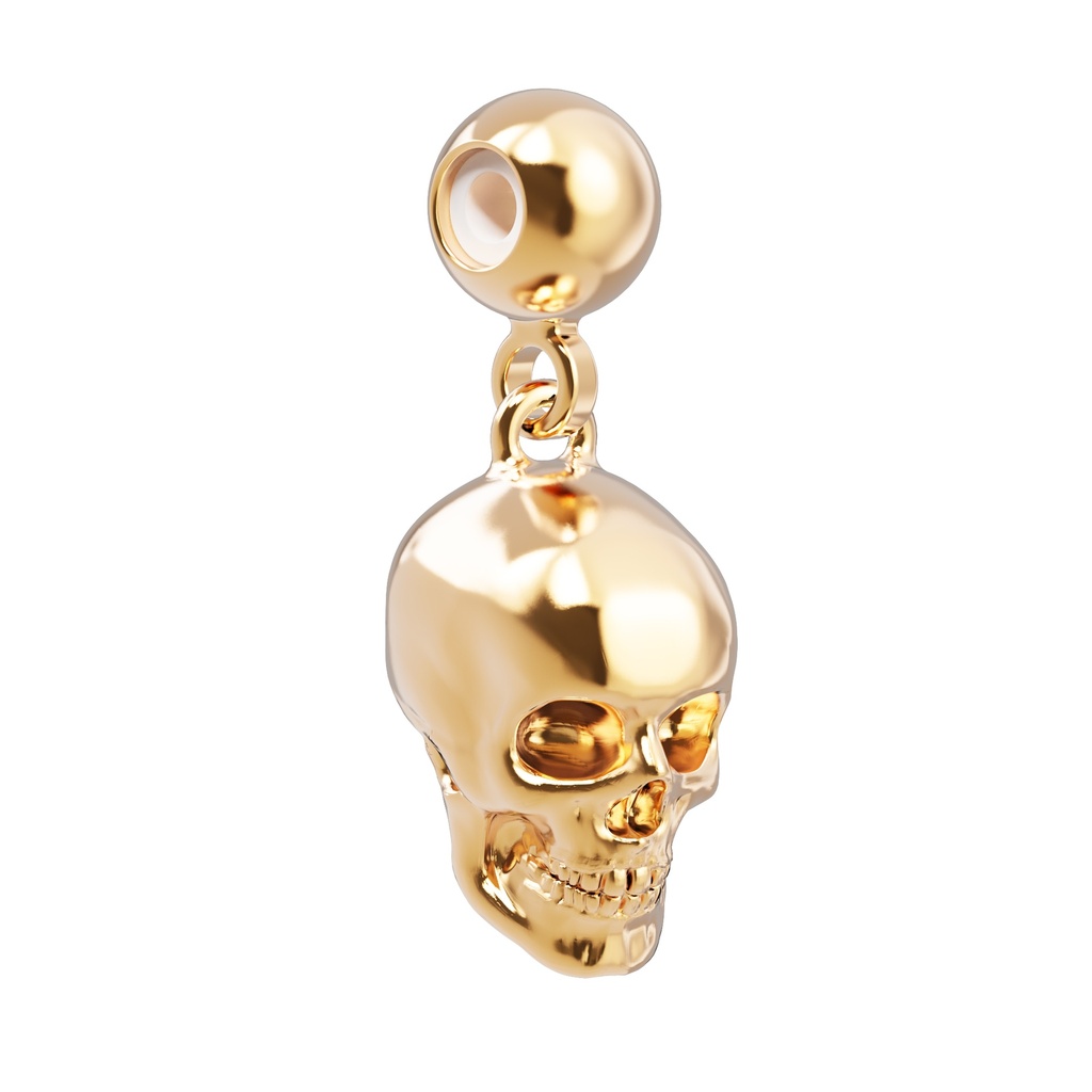 [6938-CHP0182] Charm Crâne